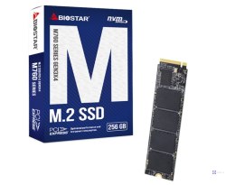 Dysk SSD Biostar M760 256GB