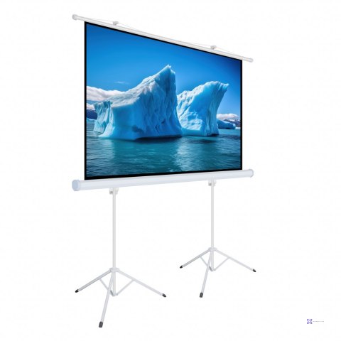 EKRAN RĘCZNY NA STATYWIE 140" 254x254cm TA-140 1:1 ART podwójny tripod
