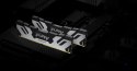 KINGSTON DDR5 48GB 6400MT/s CL32 DIMM FURY Renegade Silver XMP