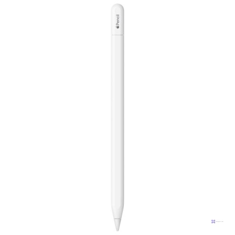 Apple Pencil (USB-C)