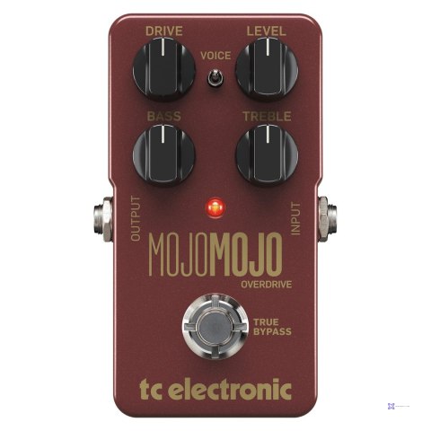 TC Electronic MojoMojo Overdrive - efekt gitarowy