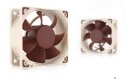 Wentylator NOCTUA NF-A6x25 60x25 mm PWM 5V