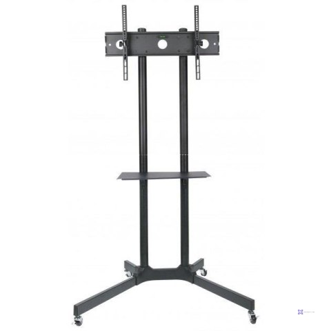 Stojak mobilny Techly 30"-65", 60kg regulowany