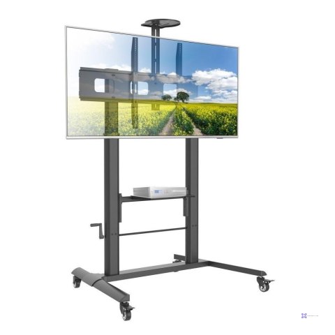 Stojak mobilny Techly do tablicy interaktywnej 52"-110", 120kg z półką