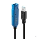 Lindy 43229 kabel USB USB 3.2 Gen 1 (3.1 Gen 1) 15 m USB A Czarny