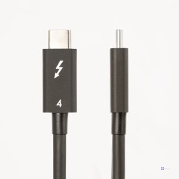 StarTech.com TBLT4MM50CM kabel Thunderbolt 0,5 m 40 Gbit/s Czarny