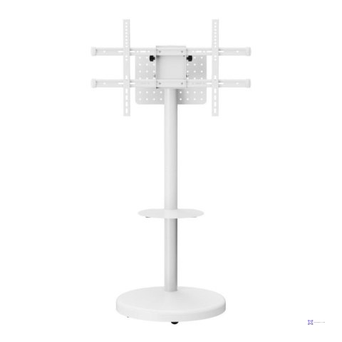 Stojak mobilny Techly TV 37-86" do 50kg regulowany półka uchwyt AV