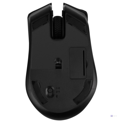 Corsair Harpoon RGB Wireless myszka Po prawej stronie RF Wireless + Bluetooth Optyczny 10000 DPI