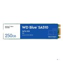 Dysk SSD WD Blue WDS250G3B0B (250 GB ; M.2; SATA III)