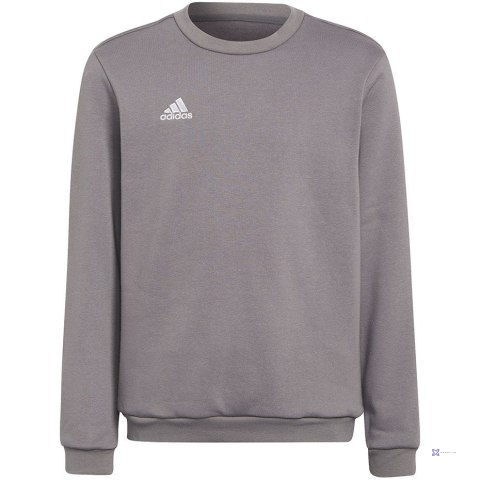 Bluza dla dzieci adidas Entrada 22 Sweat Top szara H57477 140cm