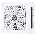 Silverstone DA850R moduł zasilaczy 850 W 20-pin ATX ATX Biały