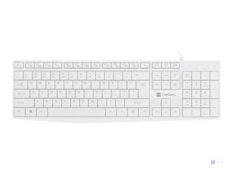 NATEC KLAWIATURA NAUTILUS US SLIM BIAŁA NKL-1951