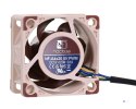 Wentylator NOCTUA NF-A4X20 40x20 mm PWM 5V