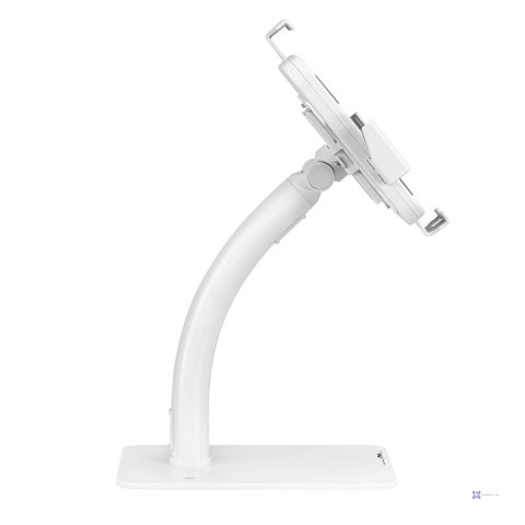 MACLEAN UCHWYT DO TABLETU ŚCIENNY/BIURKOWY Z BLOKADĄ 7,9"-11" UNIWERSALNY BIAŁY MC-468W