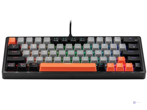 TRACER KLAWIATURA GAMEZONE EVO1 HOT SWAP 63 SZARA