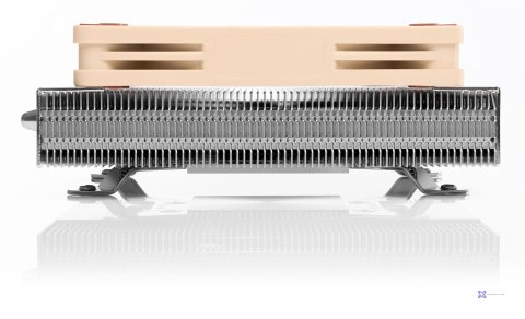 Chłodzenie CPU NOCTUA NH-L9A-AM5 Low Profile
