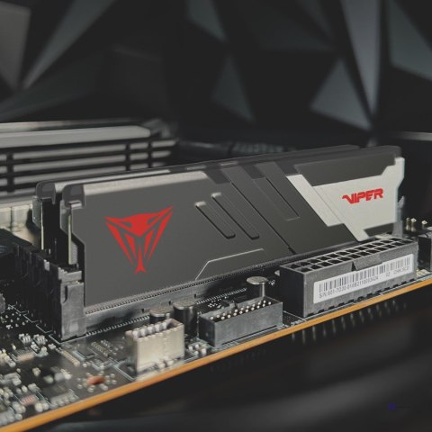 Patriot Viper Venom DDR5 2x24GB 6000MHz CL36-36 XMP