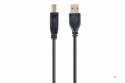 Kabel GEMBIRD CCP-USB2-AMBM-10 (USB 2.0 typu A M - USB 2.0 typu B M; 3m; kolor czarny)