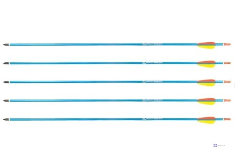 Strzały aluminiowe 30" BLUE Poe Lang - zestaw 5 szt