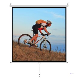 EKRAN RĘCZNY PÓŁAUTOMAT 1:1 98