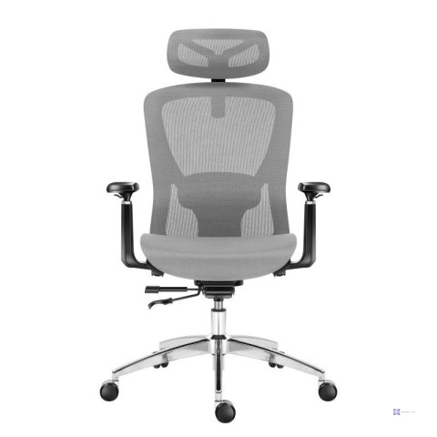 Fotel obrotowy Expert 5.3 Grey Mesh