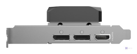 Karta graficzna ZOTAC GAMING GeForce RTX 5060 LP 8GB