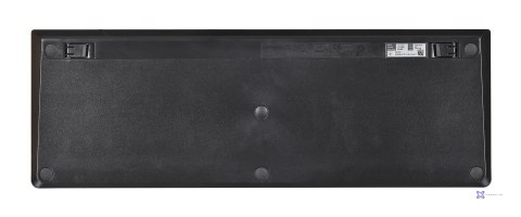 Klawiatura Lenovo Essential Uniwersalna USB QWERTY US English Czarny 4Y41C68681