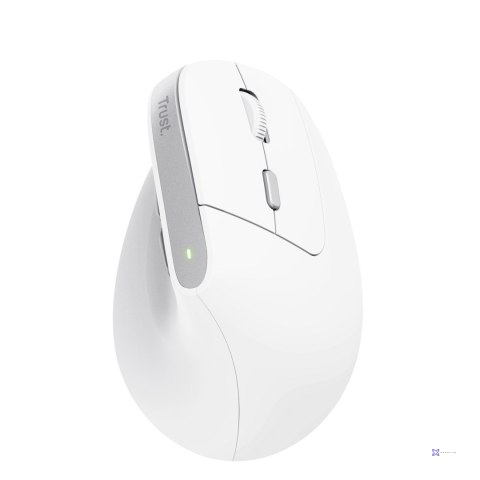 Mysz Trust BAYO II ERGONOMIC WIRELESS White