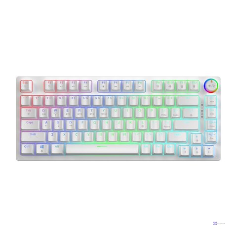 SAVIO KLAWIATURA MECHANICZNA BEZPRZEWODOWA PHENIX WHITE GATERON RED PRO ABS