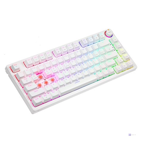 SAVIO KLAWIATURA MECHANICZNA BEZPRZEWODOWA PHENIX WHITE GATERON RED PRO ABS