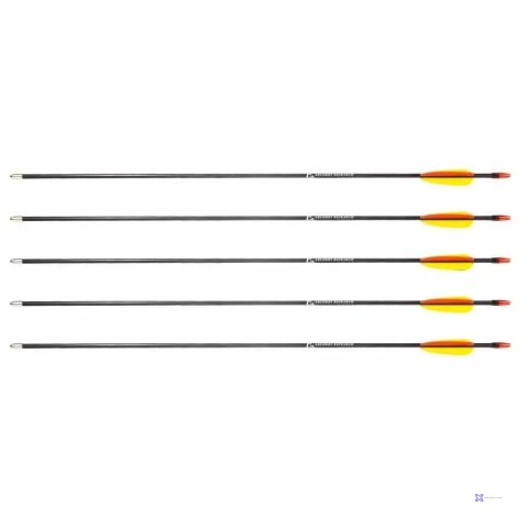 Strzały z włókna szklanego 28" Poe Lang - zestaw 5 sztuk (D-055-B3)