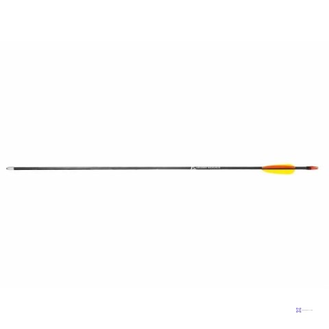 Strzały z włókna szklanego 28" Poe Lang - zestaw 5 sztuk (D-055-B3)