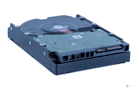 Dysk HDD WD Red Plus WD80EFPX (8 TB ; 3.5"; 256 MB; 5640 obr/min)