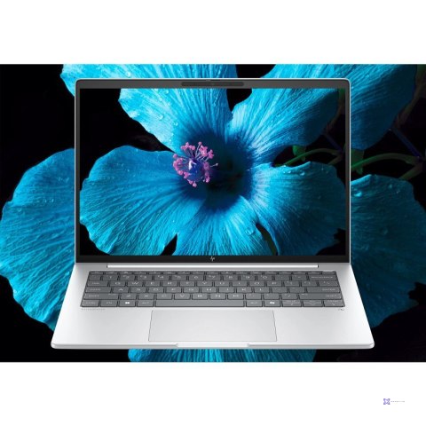 HP EliteBook 8 G1i Ultra 7 255U 14.0"WUXGA IPS 400nits Eye Ease AG 24GB DDR5 5600 SSD512 Arc Cam 5Mpx 62Wh W11Pro Srebrny lodowi