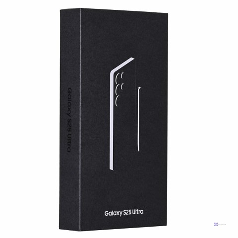 Samsung Galaxy S25 Ultra (S938) 12/512GB Titanium Gray