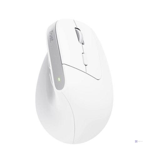 Mysz ergonomiczna TRUST Bayo+ Multidevice Wireless