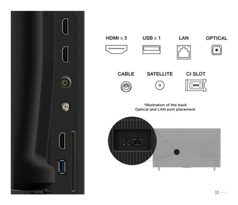 Telewizor TCL 50P69K LED 50'' 4K Ultra HD Google TV Dolby Digital DVB-T2 Czarny