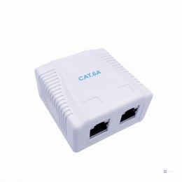 Gniazdo natynkowe Gembird FTP dwuportowe kat. 6A białe