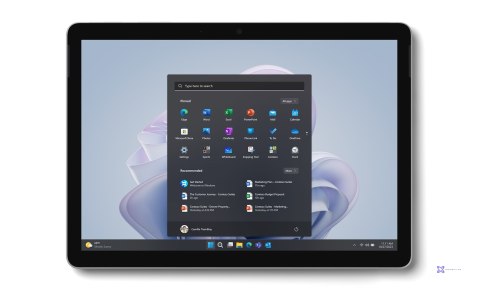 Microsoft Surface Go 4 XIG-00006 N200 10,5" Touch 8GB LPDDR5 SSD256S Xe 750 W11Pro Platynowy 2Y