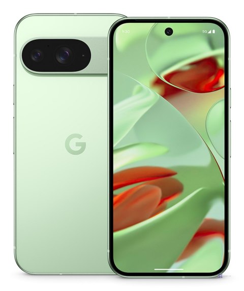 Smartfon Google Pixel 9 5G DualSIM 12/128GB Winter Green