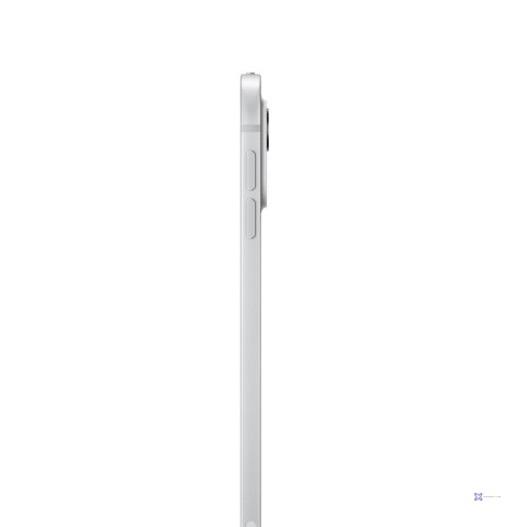 Apple 11-inch iPad Pro (M4) LTE 256GB with Standard glass - Silver