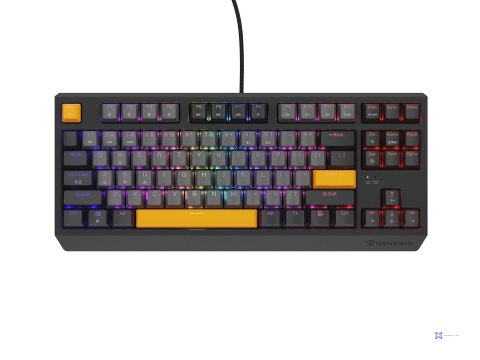 KLAWIATURA DLA GRACZY GENESIS THOR 230 TKL ANCHOR GRAY NEGATIVE US RGB MECHANICZNA OUTEMU RED (WYPRZEDAŻ)