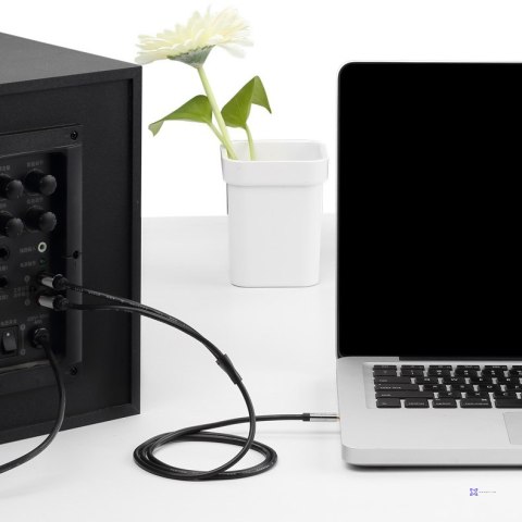 Kabel audio 3,5 mm męski na 2RCA męski 3 m czarny