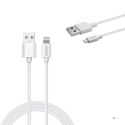 SAVIO KABEL USB-C DO LIGHTNING 2M CL-193