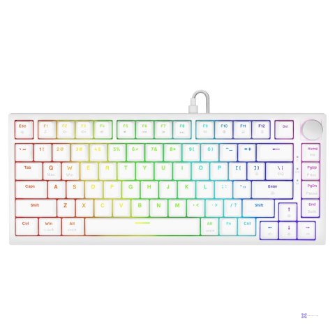 SAVIO KLAWIATURA MECHANICZNA ASTRAL WHITE OUTEMU WHITE JADE RGB
