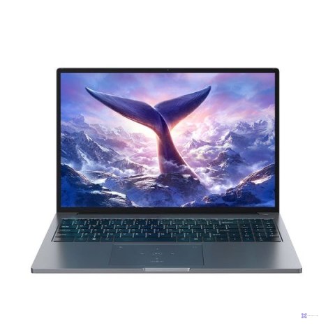 Blackview GamiBook-8 Ryzen 7 7735HS 16" WUXGA AntiGlare 32GB 1TB BT BLKB FPR W11Pro Grey