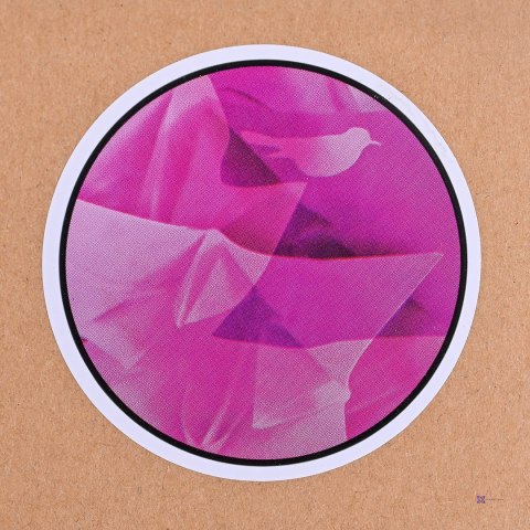 Etui HP 15" Notebook Sleeve Rossignol Attraxion 633989-001