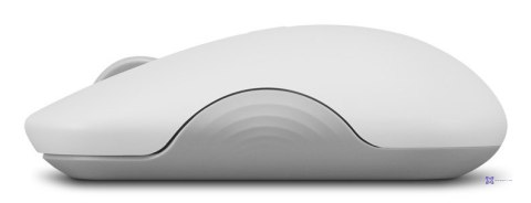Lenovo 350 Bluetooth Silent Mouse (Cloud Grey)
