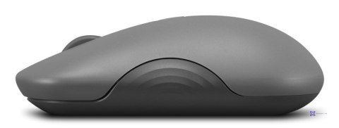 Lenovo 350 Bluetooth Silent Mouse (Luna Grey)