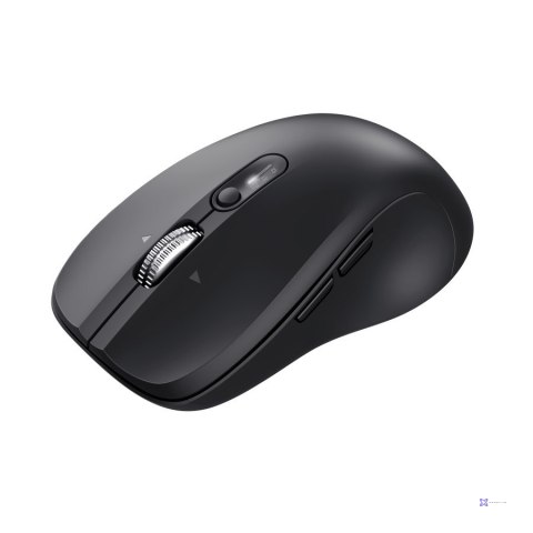 Mysz Trust Ferro wireless Black